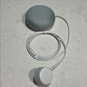 Google Nest Mini